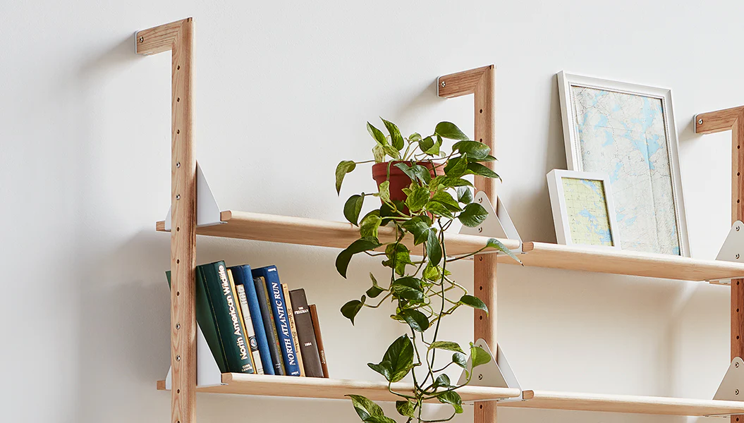 Branch-2 Shelving Unit - Image 5